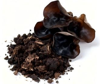 black fungus and black fungus residues
