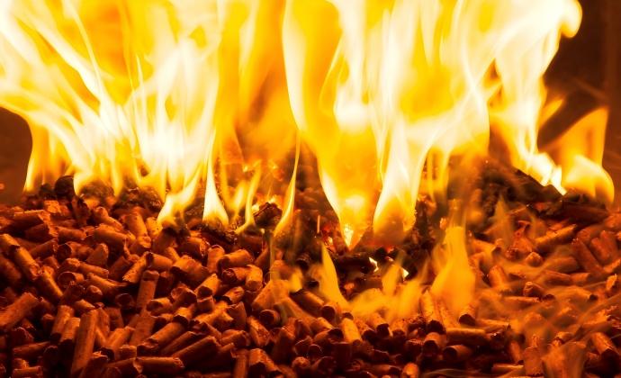 wood pellets, which are a kind of eco-friendly fuel used as heating and warm supply