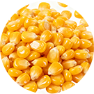 corn kernels