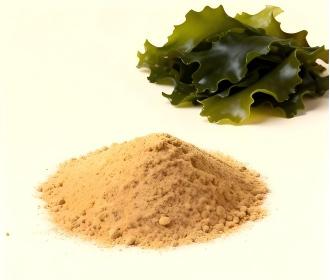 organic-fertilizer-additives-seaweed-and-fish-meal