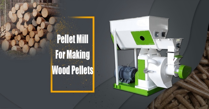 pellet mill for making wood pellets, which converts raw wooden material into pellet fuel