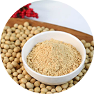 soybean and soybean meal