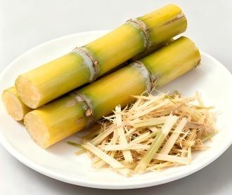 sugarcane and bagasse