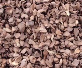 a pile of palm kernel shell