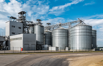Afghanistan chicken feed plant