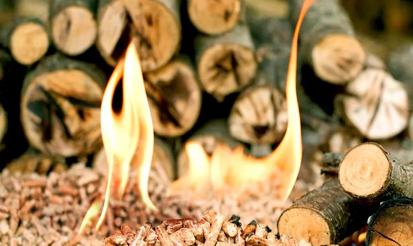 Burning firewood