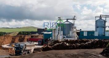 Canada 10T cat litter production line