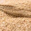 Cost-Effective Supplementary Wheat