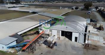 India 5T buffalo dung fertilizer line