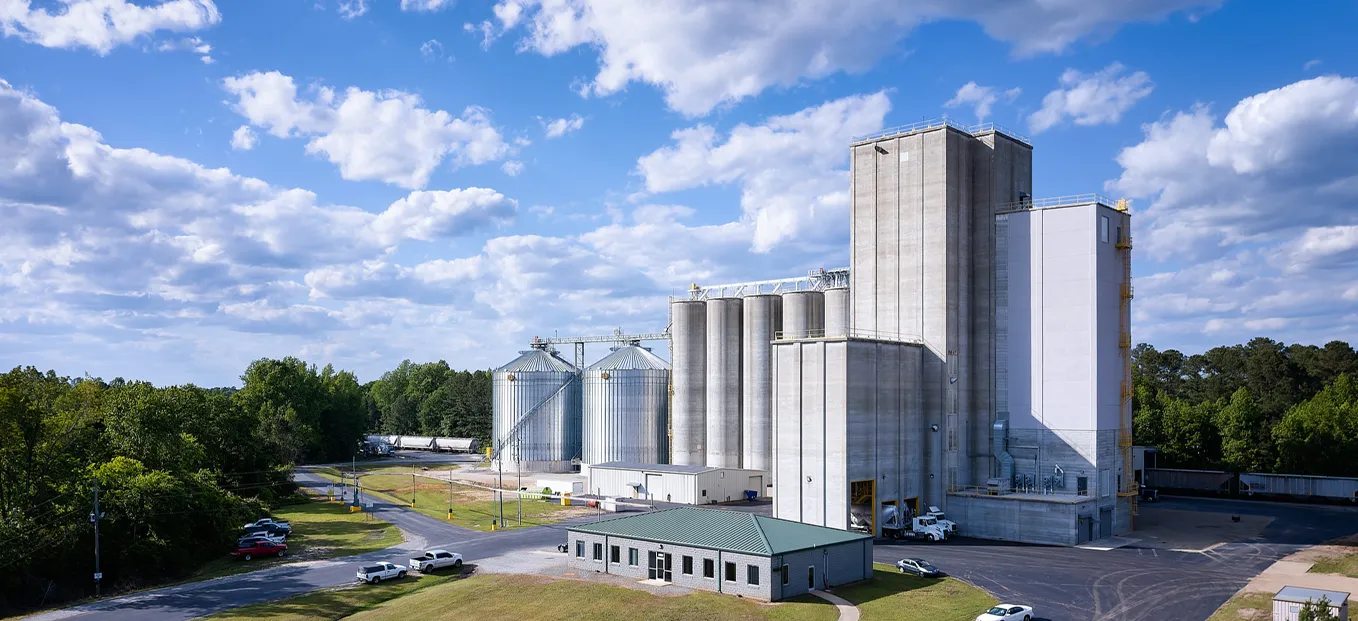 RICHI animal feed project video cover image