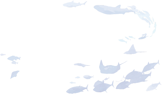 Transparent image of fish