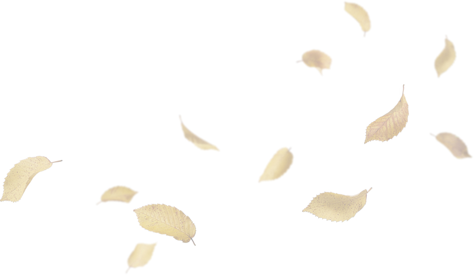 Transparent image of leaves