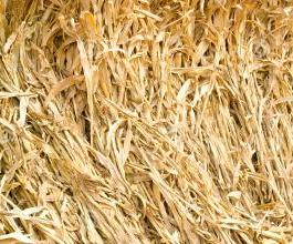 crop straw