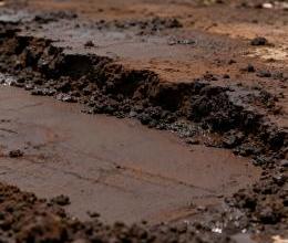 Municipal sludge for resource utilization