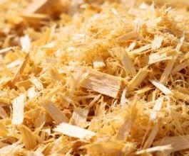Wood Shavings