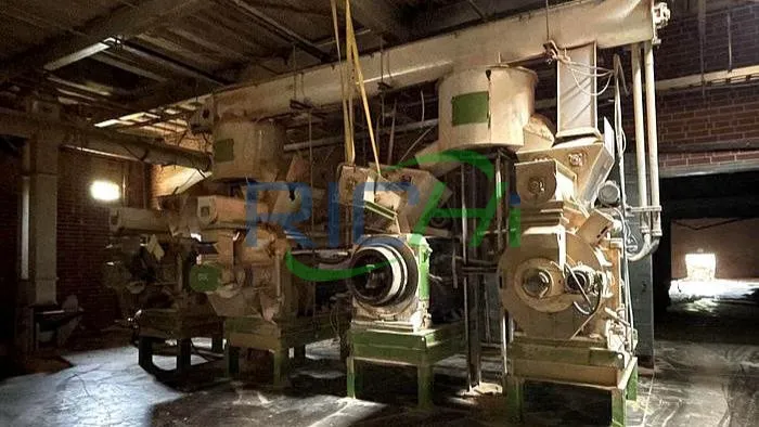 10tph Sawdust Pellet Press Exported to USA