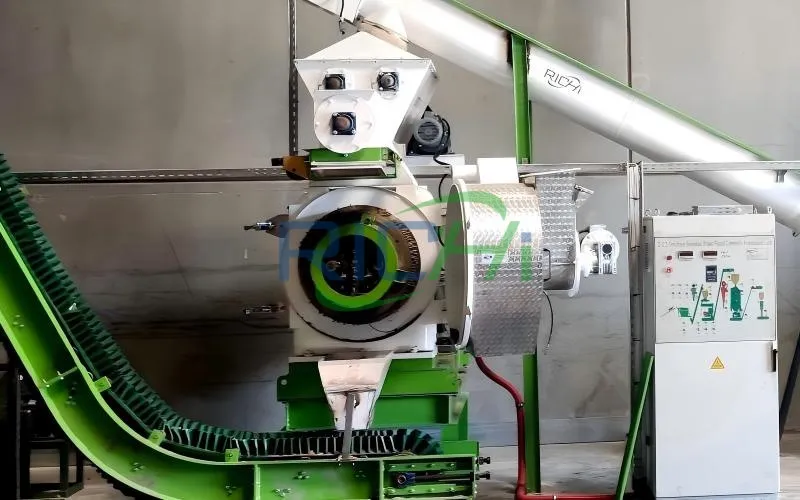 2-3 Tons Organic Fertilizer Pellet Making Machine in Mexico