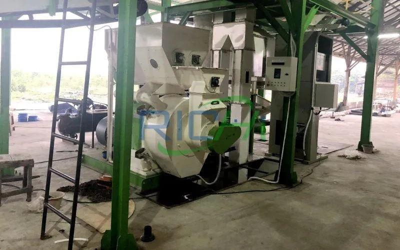 3-5 Tons Organic Fertilizer Pellet making machine in Thailand