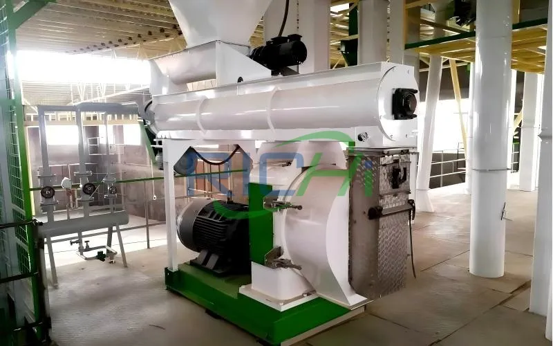 10tph Chicken Feed Pellet Mill In Afghanistan
