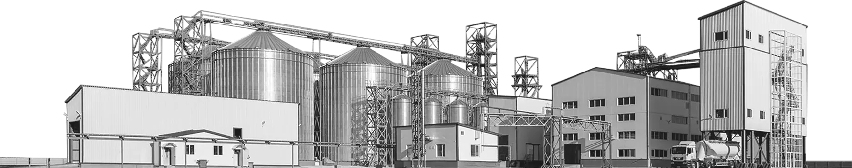 Black and white image of a feed plant