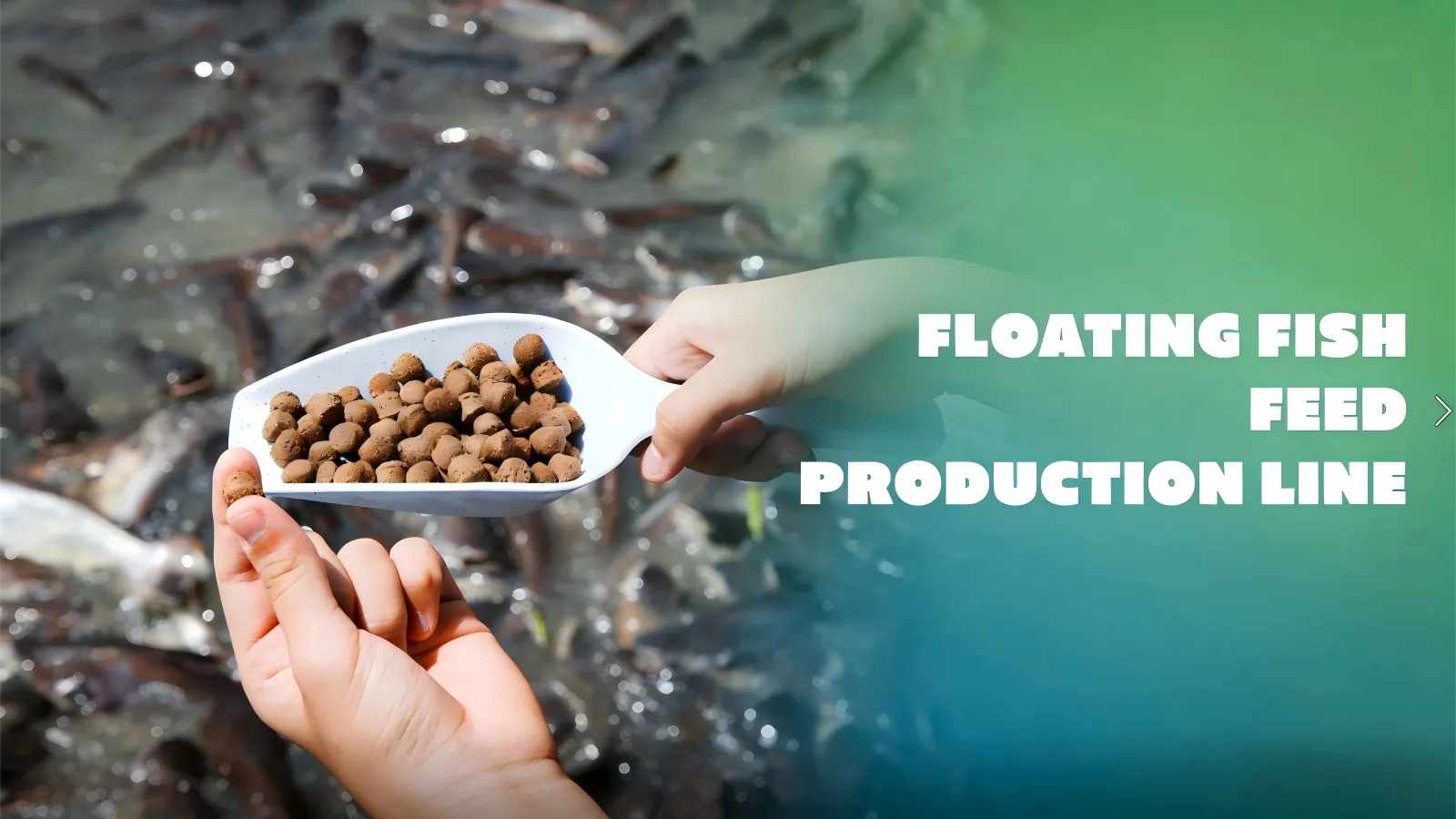 Complete Fish Feed Manufacturing System
