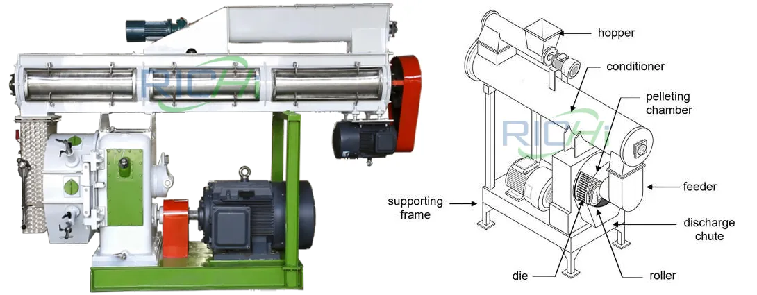 Detailed diagram of a feed pellet mill