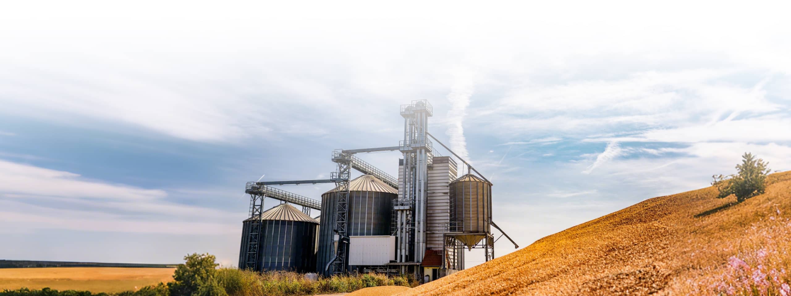 Grain storage silos & grass pellet processing facility
