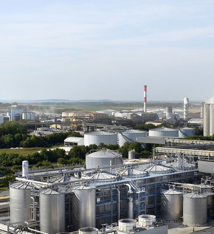Panoramic view of large industrial complex