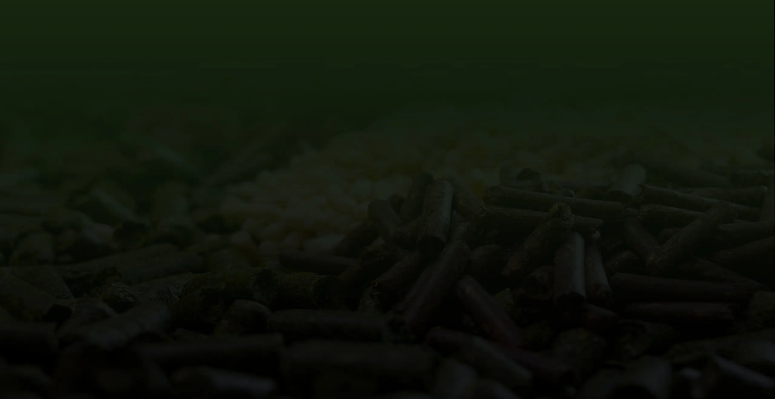 Project video background image