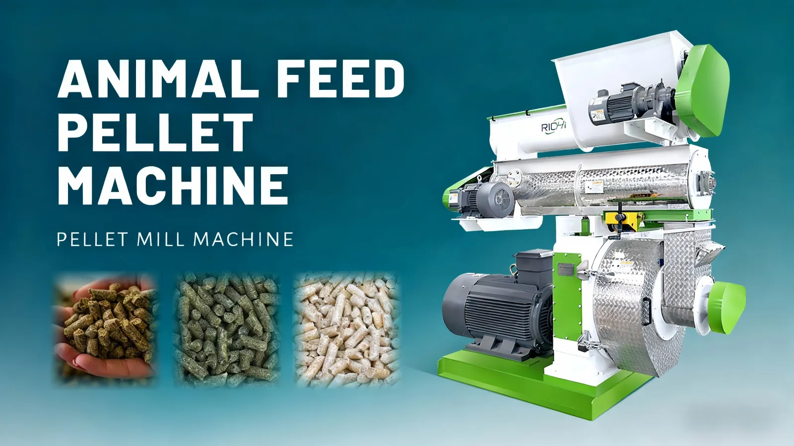 animal feed pellet making machine showcase