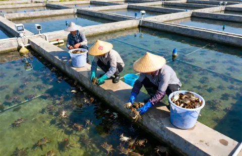 aqua Feed machine for carbs