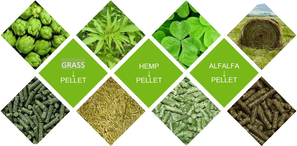 different grass pellets processed by grass pellet production line in USA