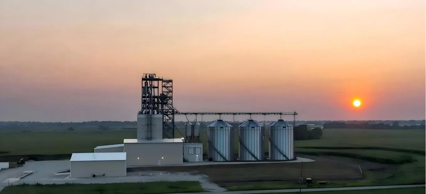 fish feed plant on the field