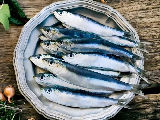 sardines in the plate