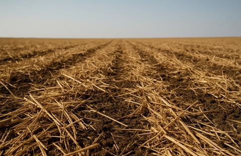 straw organic fertilizer machinery