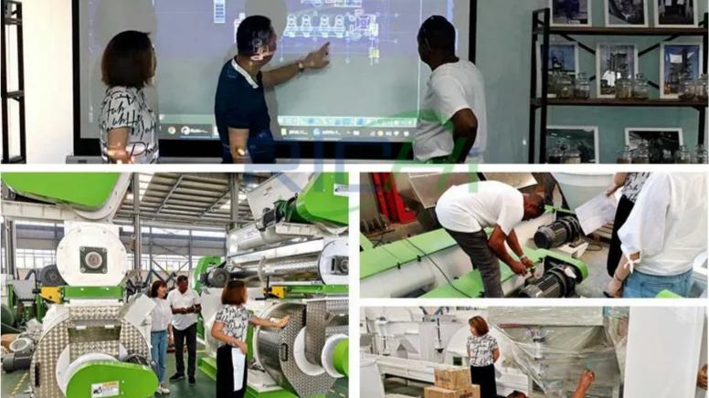 Industrial Grass Pellet Machine in USA