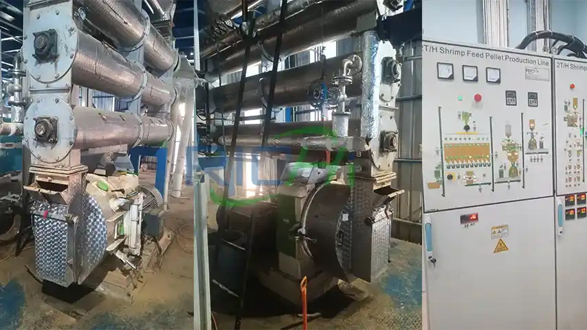 Indonesia Fish Pellet Machine for Shrimp Feed