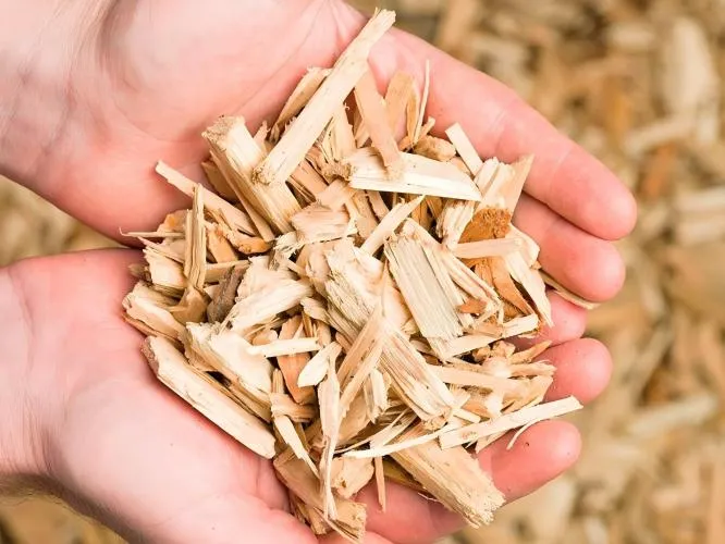 small wood chips