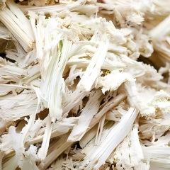 sugarcane bagasse