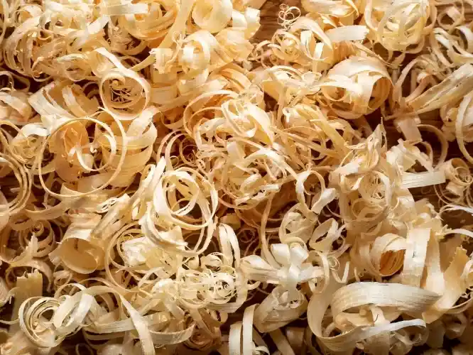 wood shavings from sawmills