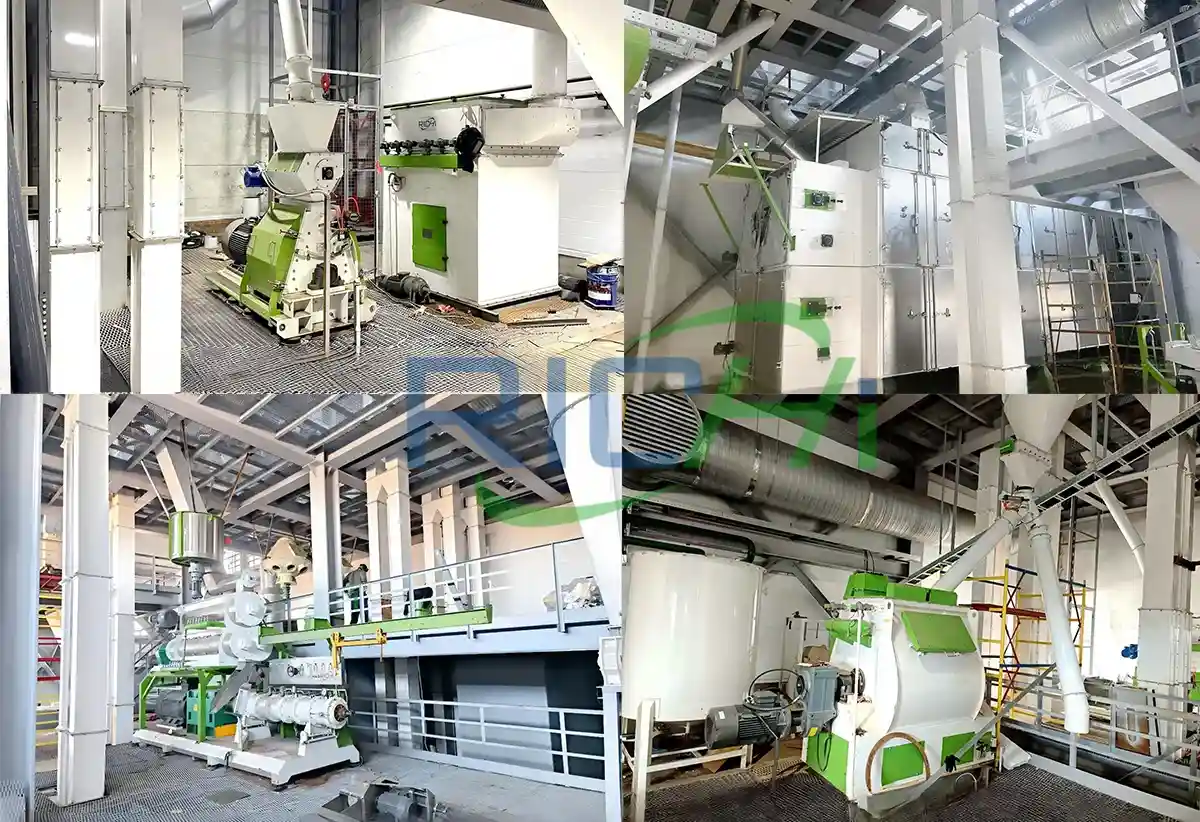 5-6tph Fish Feed Production Line in Russia
