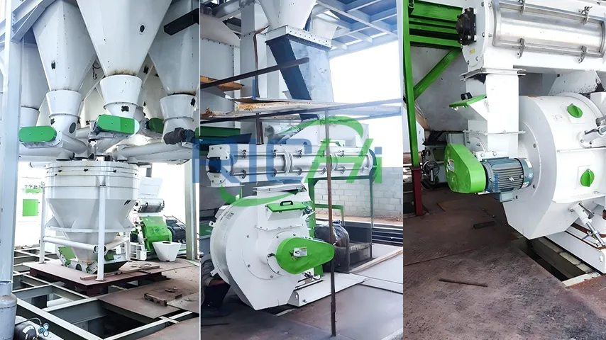 Iran 20 T/H Industrial Sheep Feed Pellet Machine