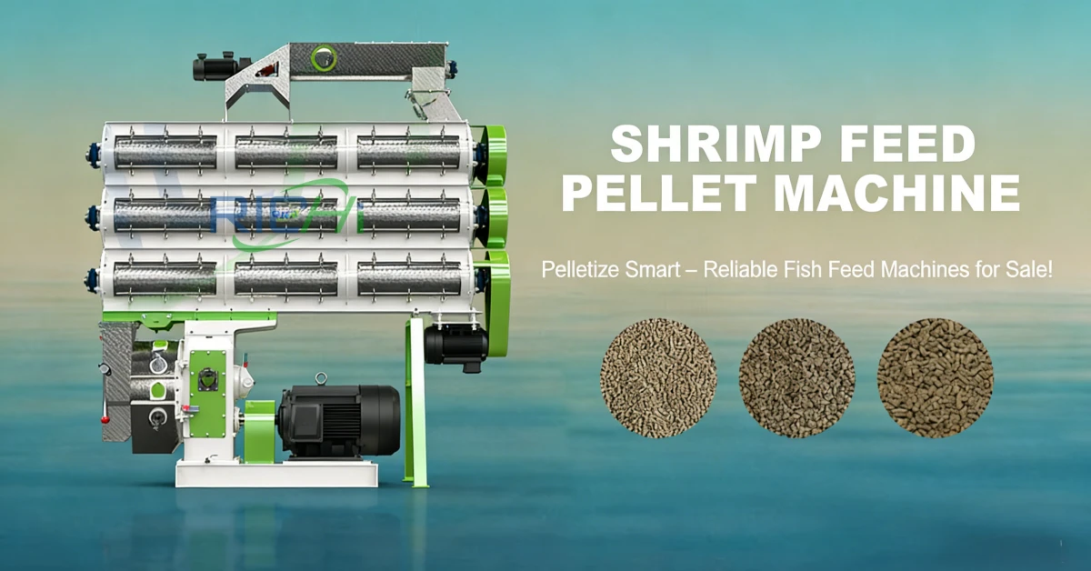 shrimp feed  pellet machine video image