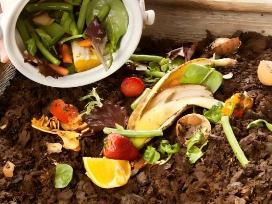 Lebensmittelverschwendung