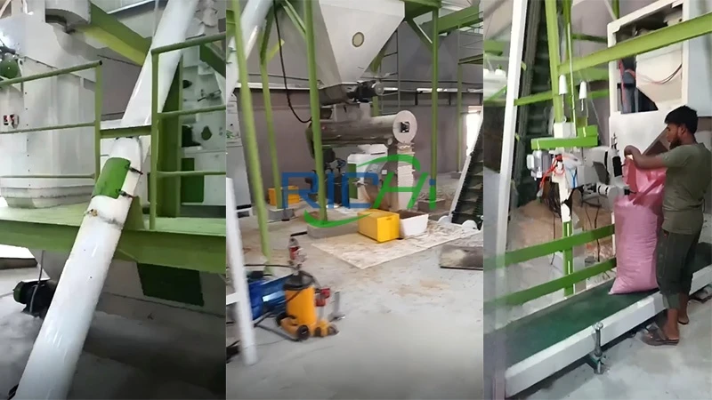 Oman 5-6 T/H cattle feed production line