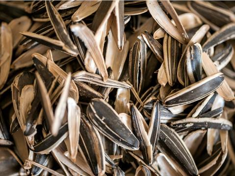 Schalen von Sonnenblumenkernen