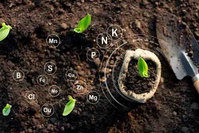 organischer Dünger, der reich an Spurenelementen ist