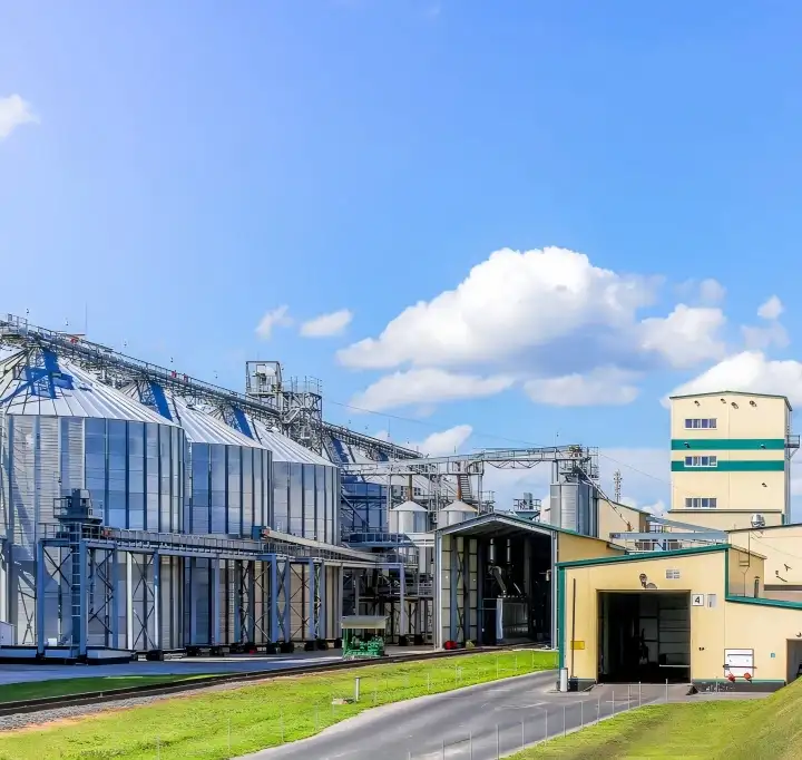 50-60 T/H Cattle Feed Manufacturing Plant C