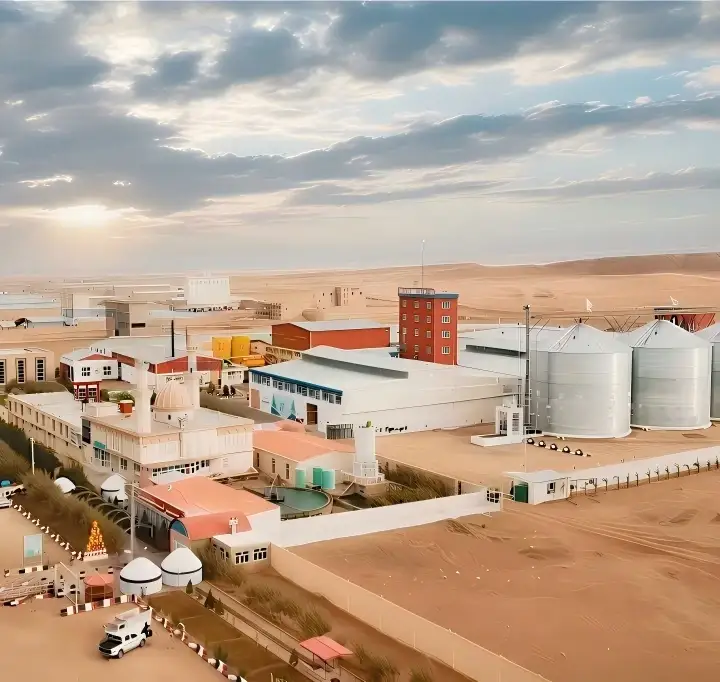 8-10 T/H Cattle Feed Plant Project Cost