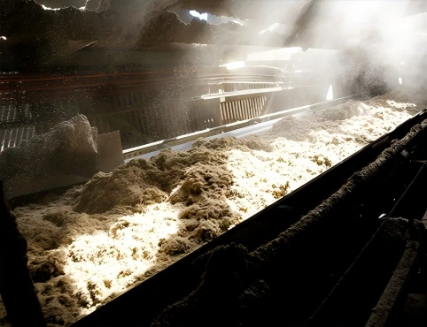 Sugarcane Sugar Factory
